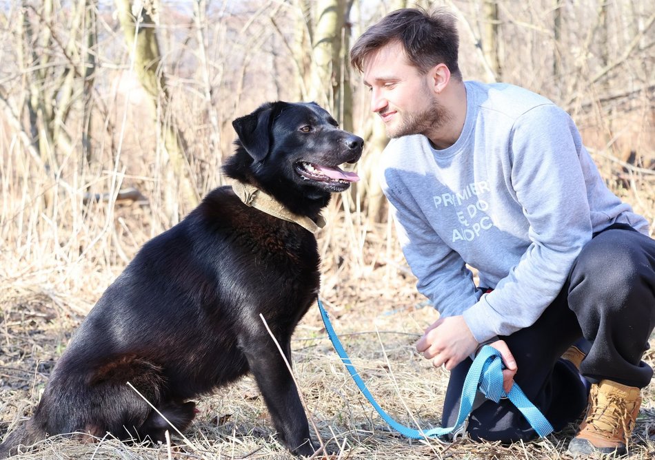 Kawaler do wzięcia. Bazyl ze schroniska w Łodzi szuka nowego domu