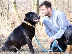 Kawaler do wzięcia. Bazyl ze schroniska w Łodzi szuka nowego domu