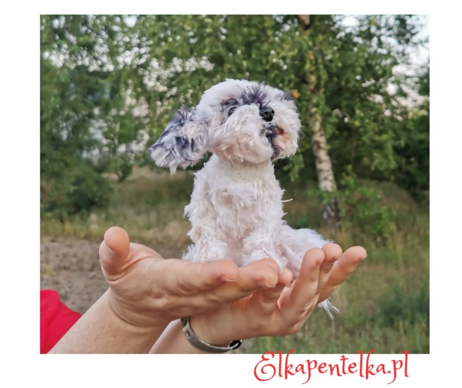 Elkapentelka - szydełkowe portrety zwierząt