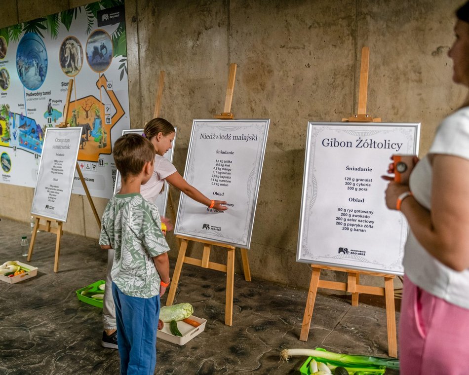 Ferie 2025 w Łodzi. Skorzystaj z wielkiej promocji w Orientarium Zoo Łódź