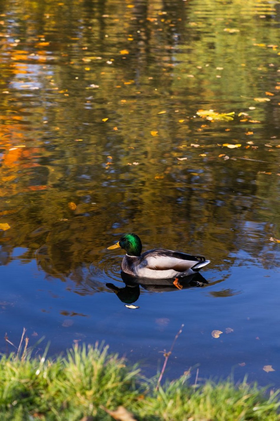 Łódź. Park Helenów w Łodzi w jesiennej odsłonie. Spacer w tym miejscu to czysta przyjemność
