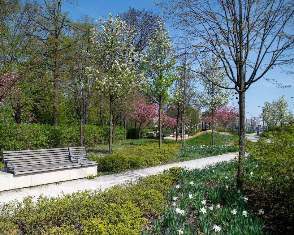Łódź. Park Moniuszki w wiosennej odsłonie. Kolorowe kadry z centrum miasta