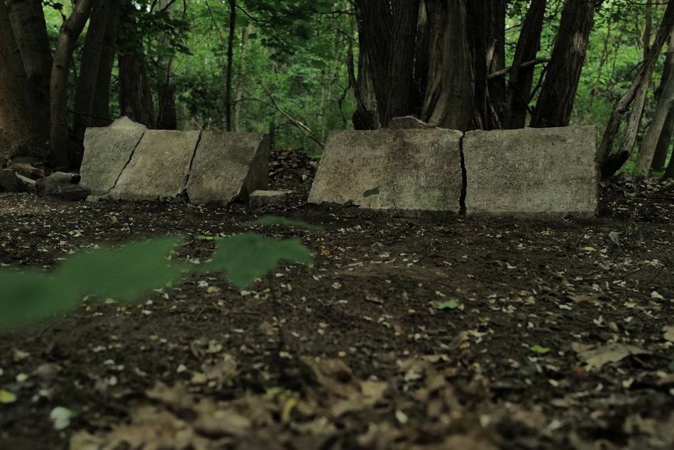 Łódź. Ludzkie kości i nagrobki w Parku Zbójnickim w Łodzi. Niezwykłe odkrycia archeologów z UŁ