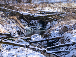Łódź. Najpiękniejsza Łódź zimą. 10 tapet na telefon, które wprowadzą zimowe wibracje!
