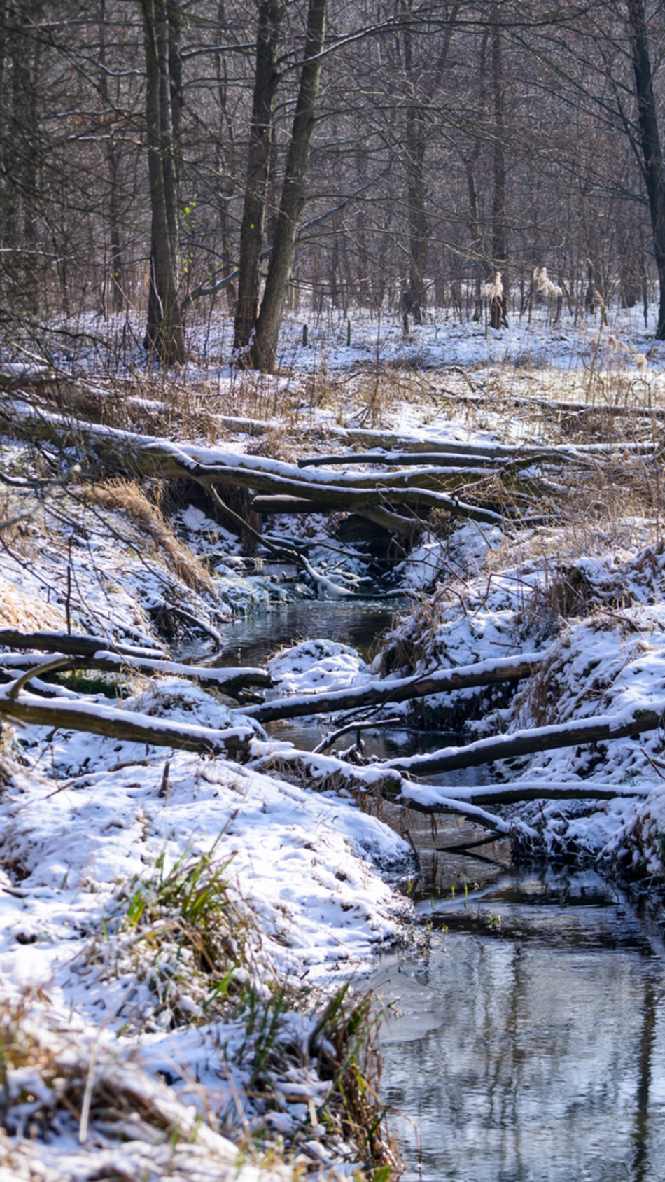 Łódź. Najpiękniejsza Łódź zimą. 10 tapet na telefon, które wprowadzą zimowe wibracje!