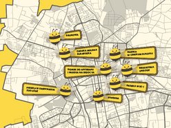 Łódź. Bez nich nie ma życia. Łódź dba o pszczoły nie tylko w Światowy Dzień Pszczół