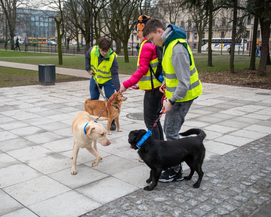 Schronisko w Łodzi z nowymi wolontariuszami