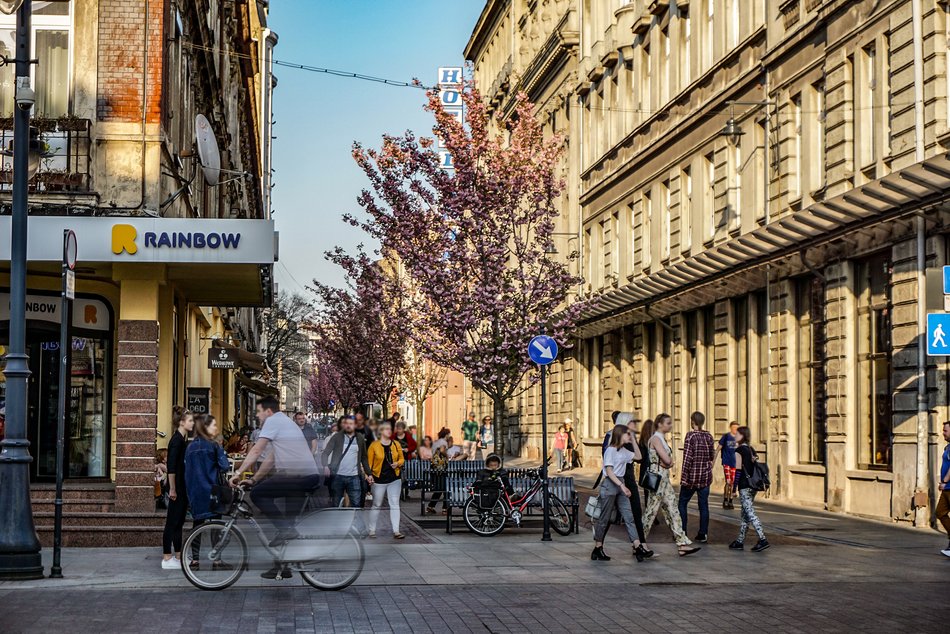 Urokliwe ulice w Łodzi idealne do zamieszkania