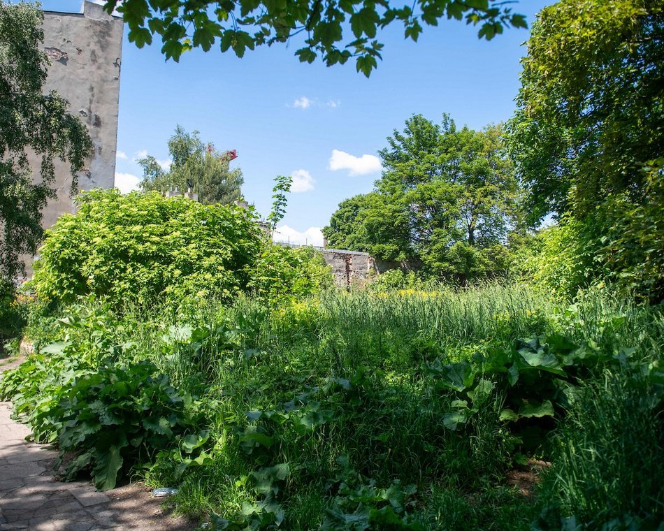 Łódź. Nowe mieszkania miejskie przy Złotej. Będzie 30 lokali i 36 miejsc parkingowych