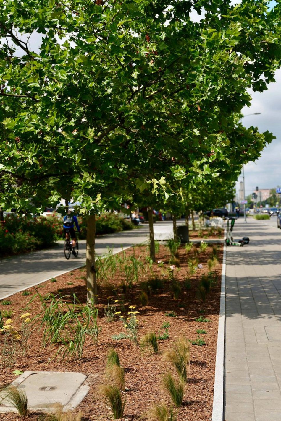 Łódź. Stajnia Jednorożców w Łodzi cała na zielono! Zamiast betonu ponad 500 mkw roślin