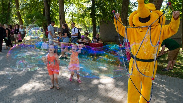 Dzień Słonia w Orientarium Zoo Łódź. Zobacz, jak świętują łódzkie olbrzymy [ZDJĘCIA]