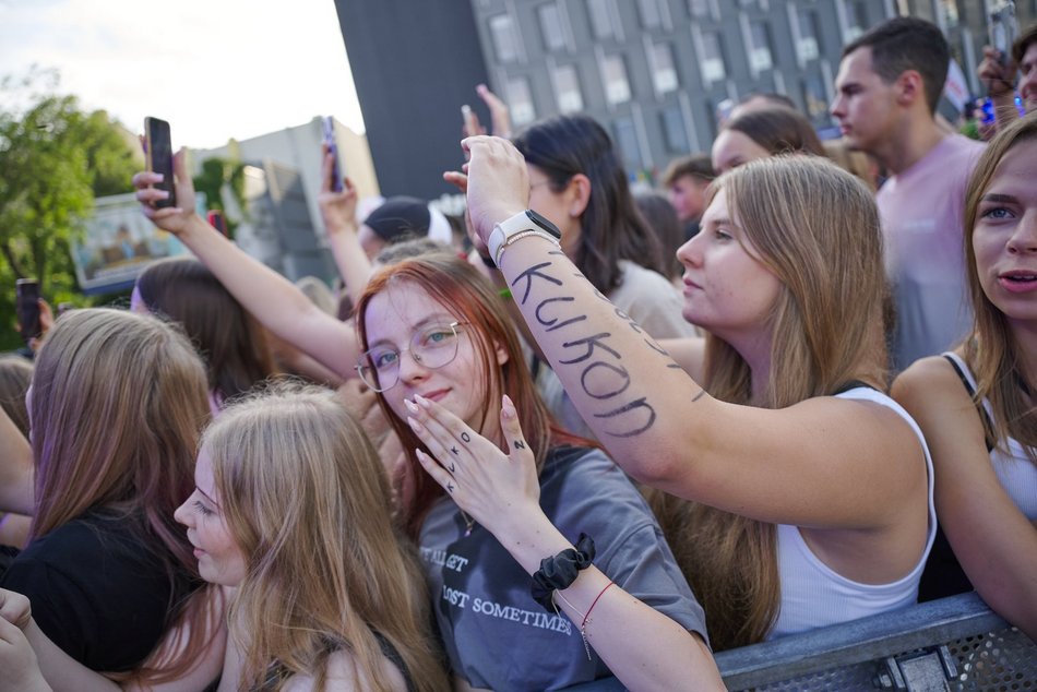 Publiczność podczas Łódź Summer Festival 2024