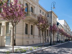 Łódź. Woonerfy w Łodzi bez tajemnic! Wybierz się na wyjątkowy spacer