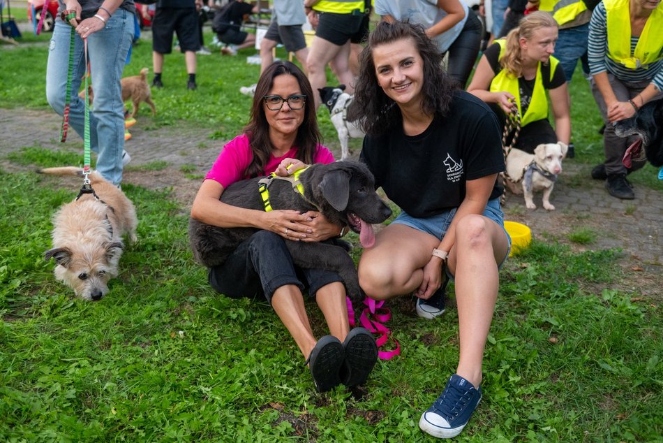 Łódź. Ostatni Psia Polówka w Łodzi za nami. Nic słodszego dziś nie zobaczysz!