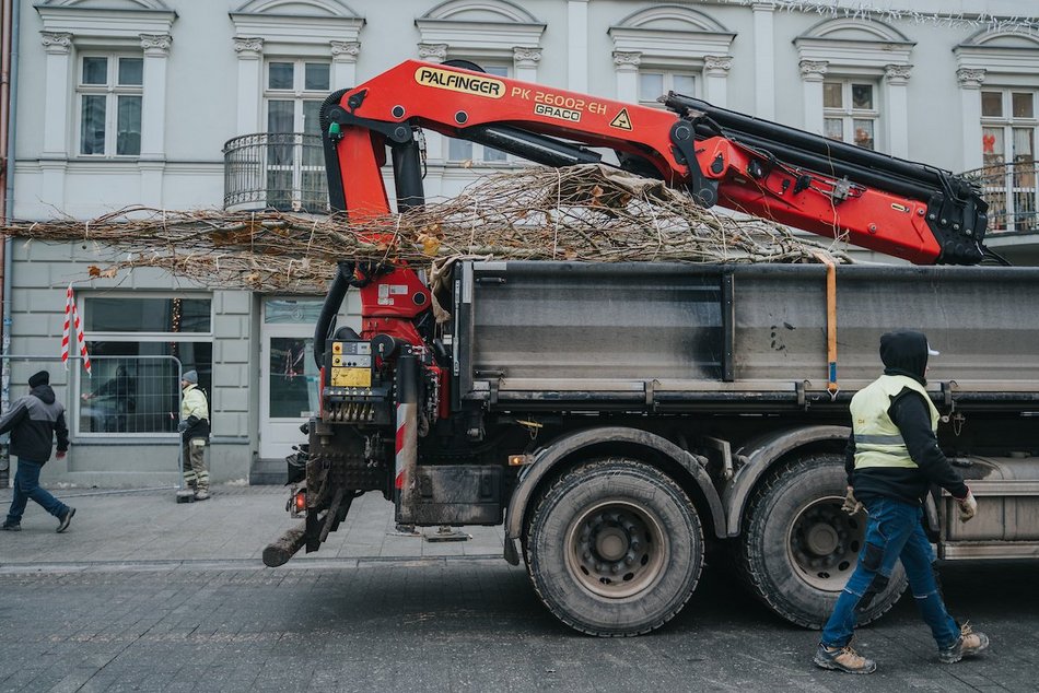 Łódź. Zielona metamorfoza Piotrkowskiej!
