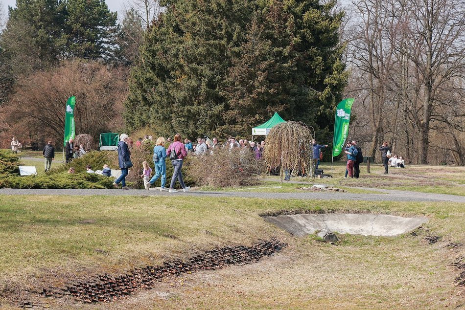 Łódź. Ogród Botaniczny w Łodzi otwarty! Czas na spacery po zimowej przerwie