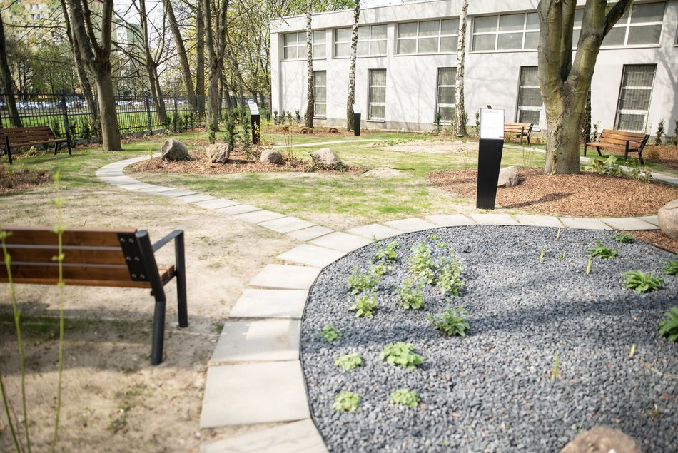 IX LO w Łodzi - fotowoltaika, ekologiczny ogródek i pompa ciepła