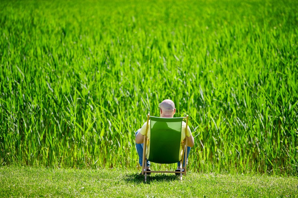 Majówka w Ogrodzie Botanicznym w Łodzi