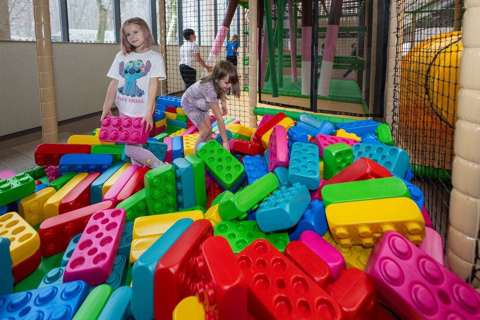 Łódź. Jak wygląda największy figloraj w Łodzi? Zobacz zdjęcia z Orientkowa w Orientarium Zoo Łódź