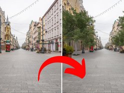 Nowe drzewa na Piotrkowskiej w Łodzi od placu Wolności