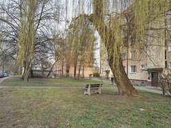 Łódź. Ulica Skrzywana w Łodzi będzie jeszcze zieleńsza! Nowy skwer w ramach Budżetu Obywatelskiego Łódź