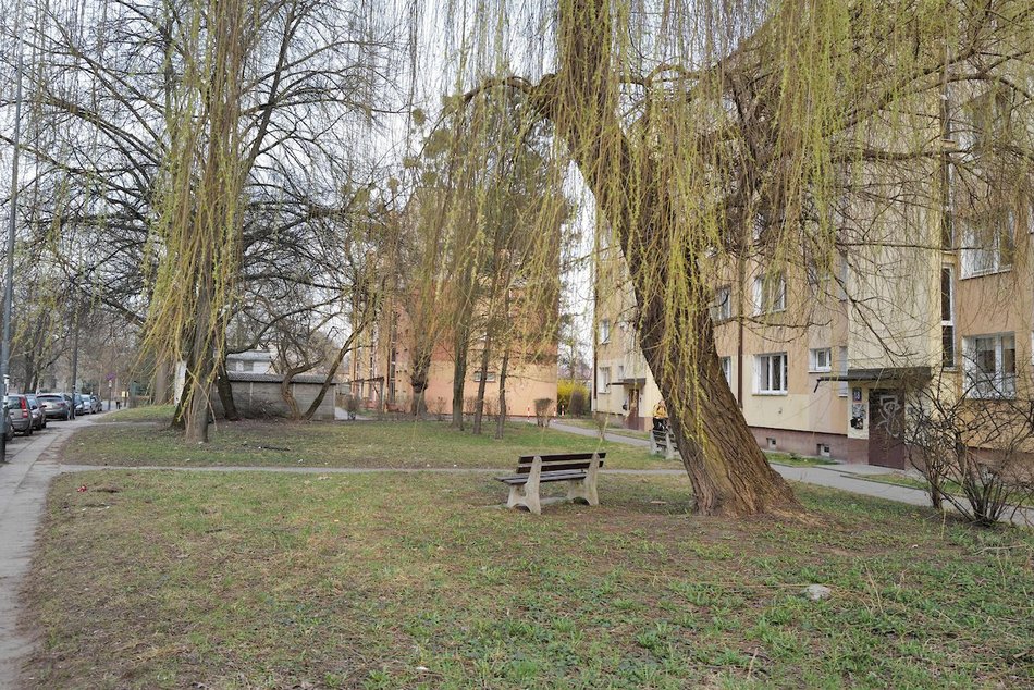 Łódź. Ulica Skrzywana w Łodzi będzie jeszcze zieleńsza! Nowy skwer w ramach Budżetu Obywatelskiego Łódź