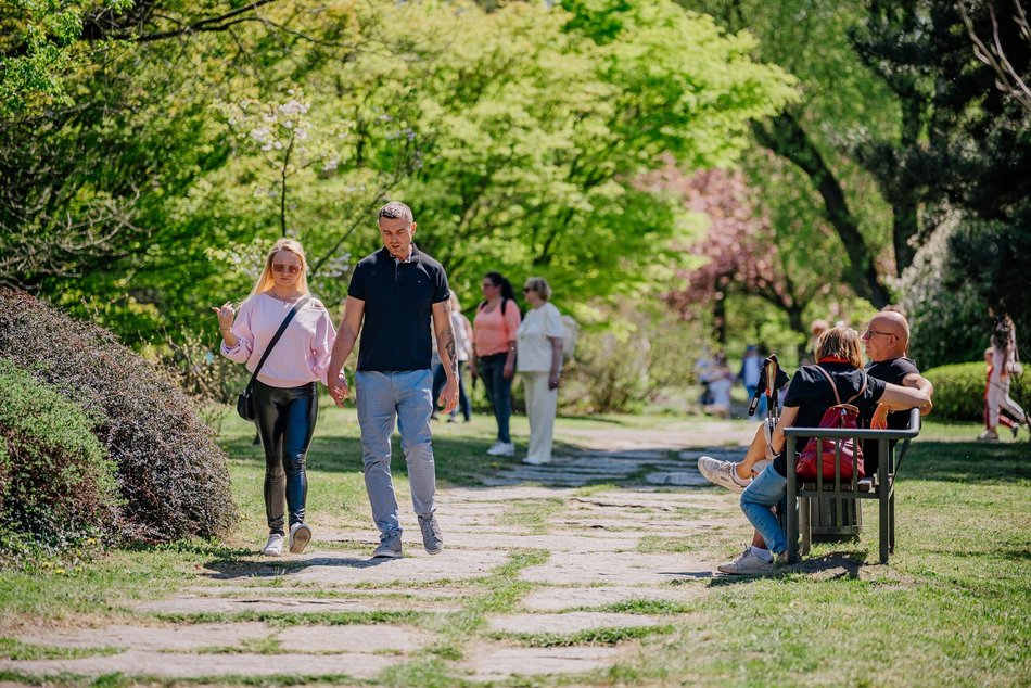 Łódź. Ogród Botaniczny w Łodzi w wiosennej odsłonie