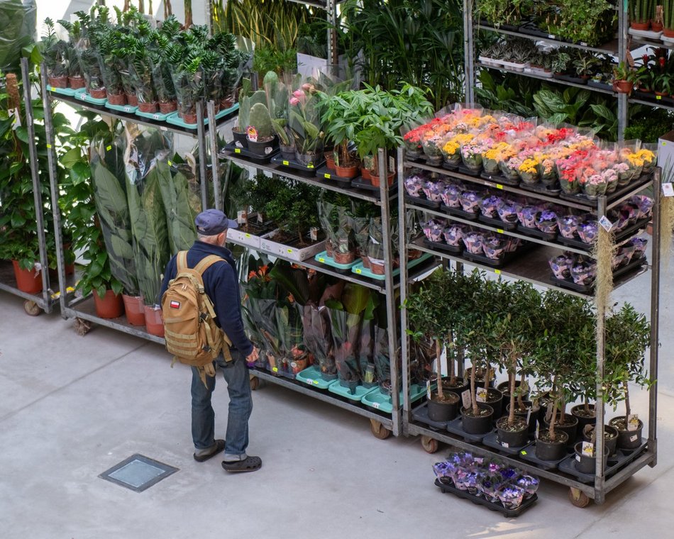 Pierwsze Targi roślin egzotycznych w Orientarium Zoo Łódź. Ale okazy!