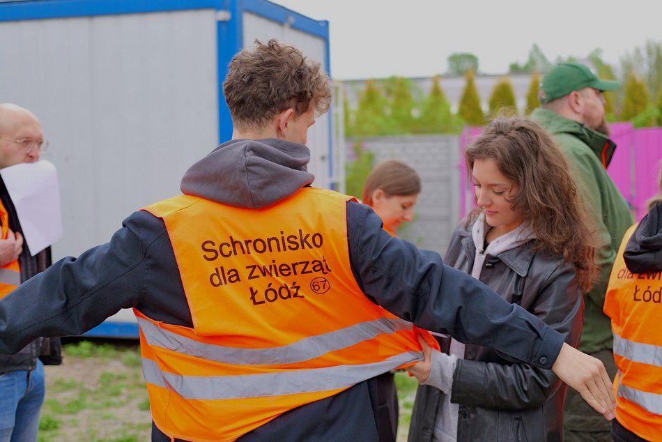 Łódź. Psy ze schroniska w Łodzi na spacerze z Łodzianami! Akcja "WYBIEGAJsŁODZIAKA" ma moc!