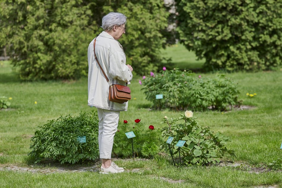 Ogród Botaniczny w Łodzi
