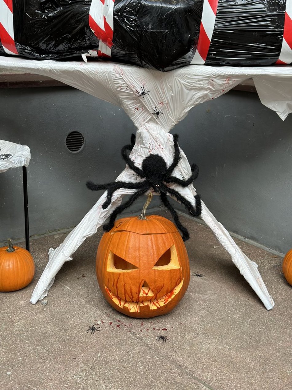 Najstraszniejsze podwórko w Łodzi