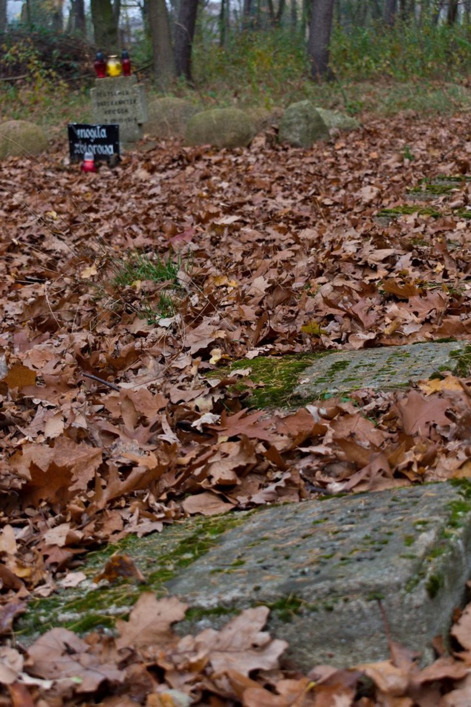 Grobowa Góra w Starej Gadce. Największy łódzki cmentarz ofiar I wojny światowej