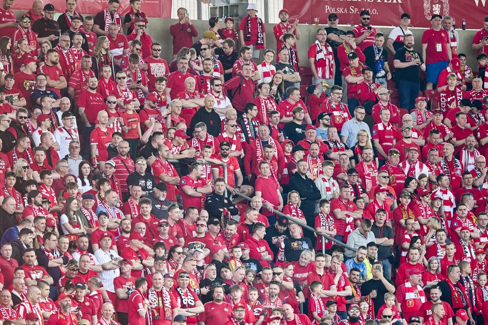 Kibice na meczu Widzewa Łódź
