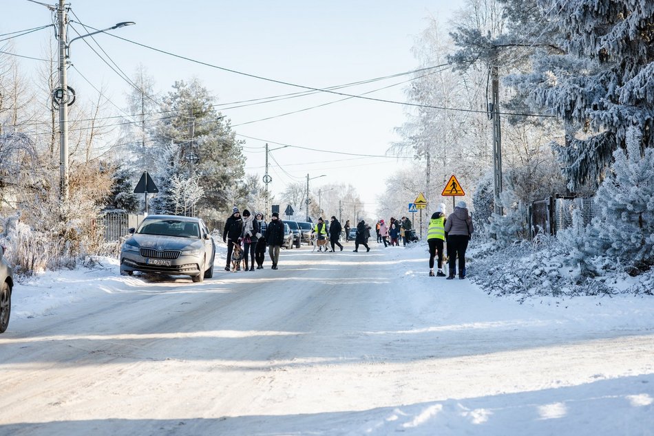 Łódź. Psy ze schroniska w Łodzi na spacerze