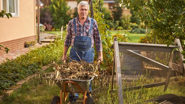 Rolnik szuka seniora z Łodzi! Weź udział w wyjątkowym projekcie i wyjedź na wieś!