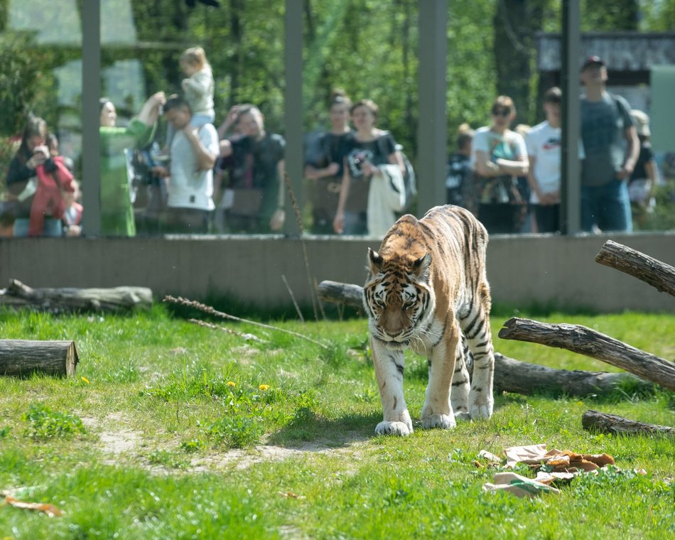 Orientarium Zoo Łódź 