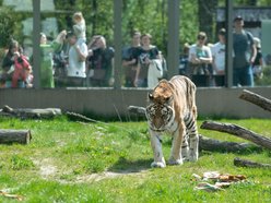 Orientarium Zoo Łódź 