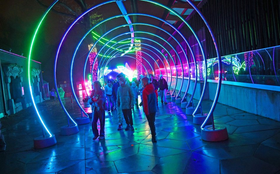 Park Miliona Świateł w Orientarium Zoo Łódź