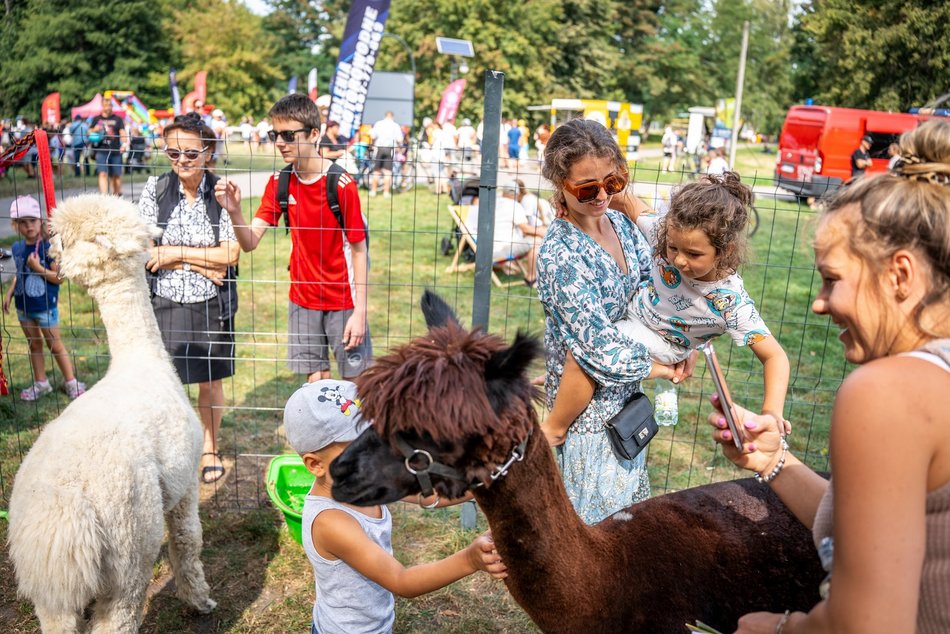 Piknik w parku na Młynku
