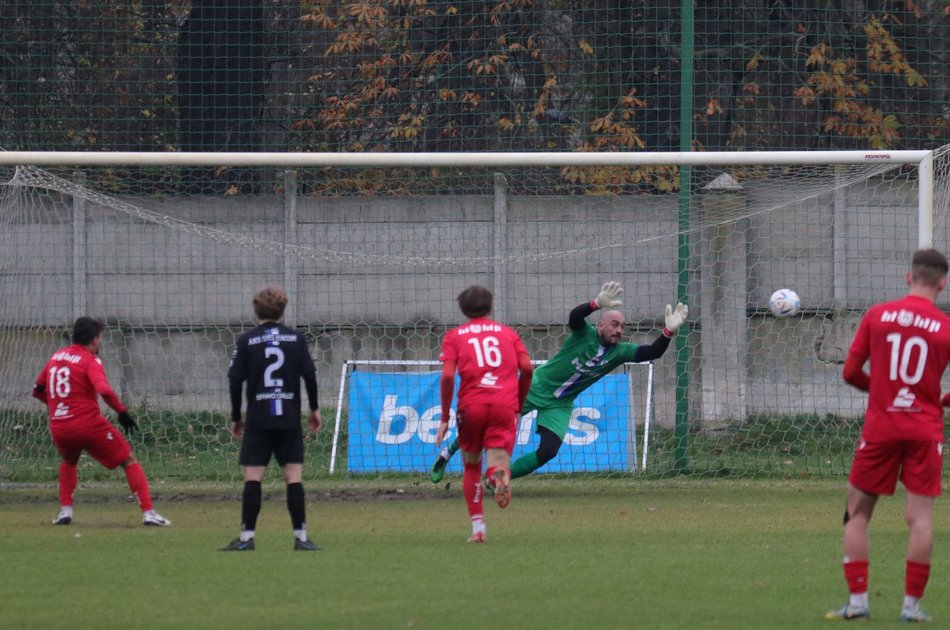 piłkarze na murawie