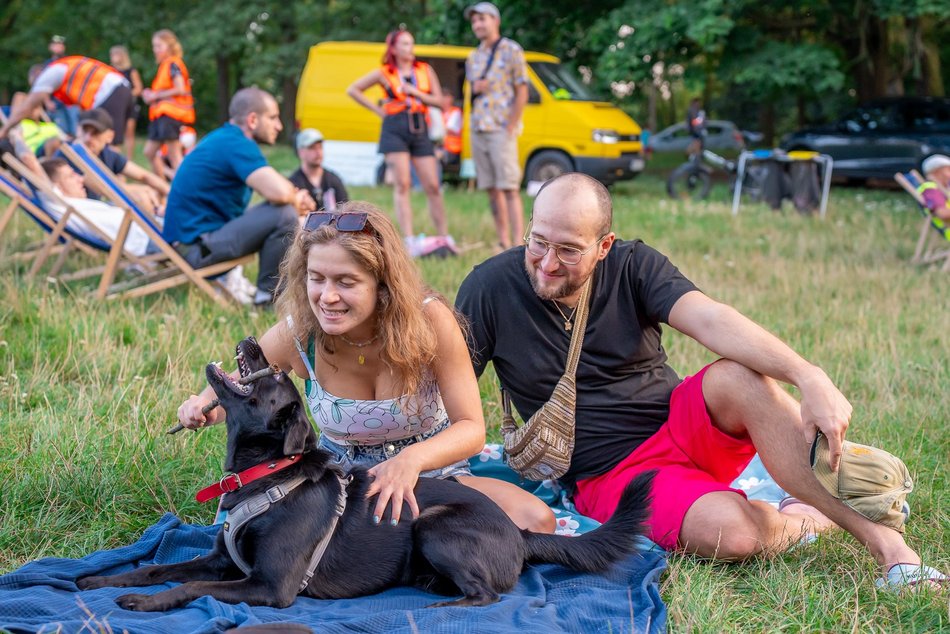 Psia Polówka w Łodzi