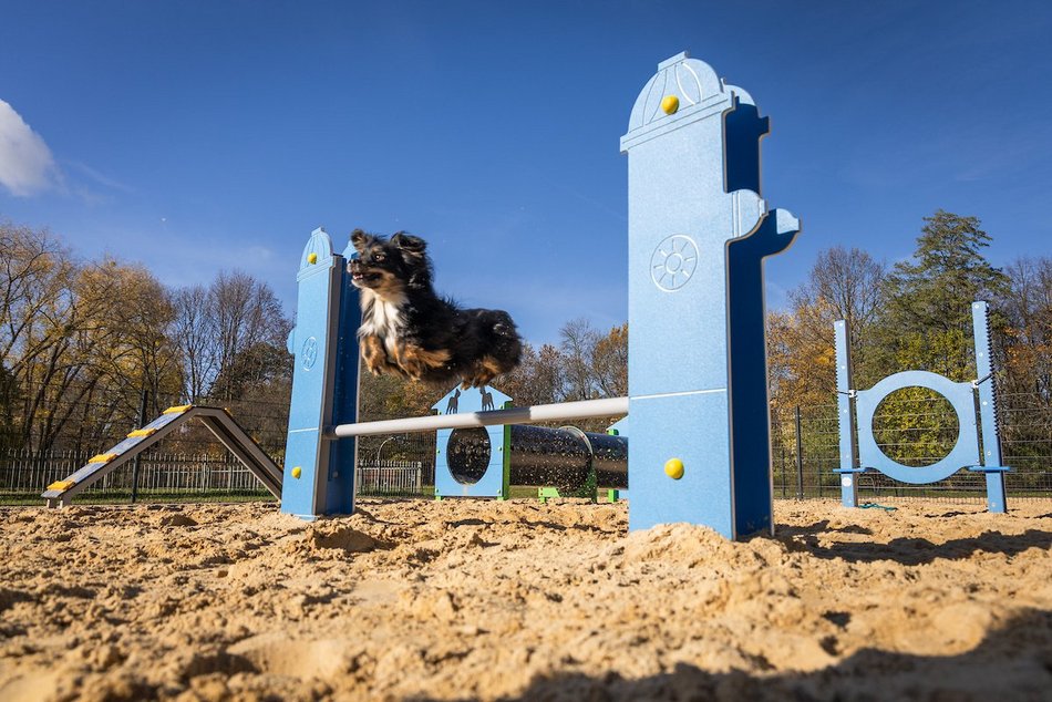 Łódź. TOP 10 metamorfoz parków w 2025 roku