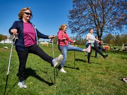seniorzy ćwiczą z kijkami nordic walking