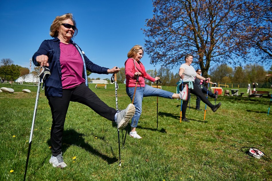 seniorzy ćwiczą z kijkami nordic walking