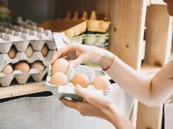 Łódź. Gdzie kupić świeże jajka w Łodzi?