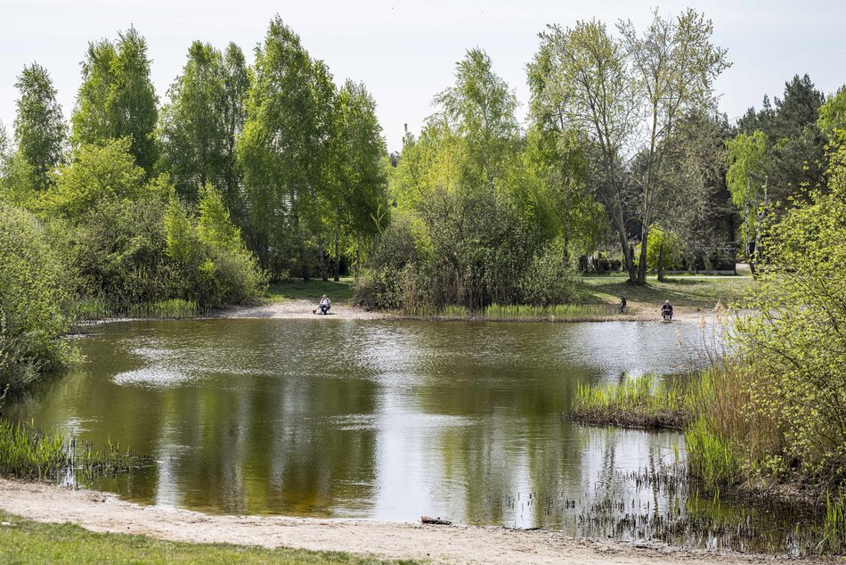 Łódź. Lublinek w Łodzi zmienia się nie do poznania. Właśnie powstało tam miejsce piknikowe