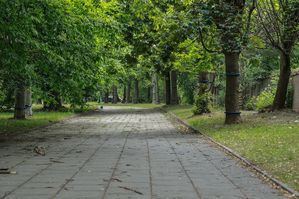 Łódź. Remont drogi rowerowej na alei Palki w Łodzi. Podróż do Lasu Łagiewnickiego będzie przyjemnością!