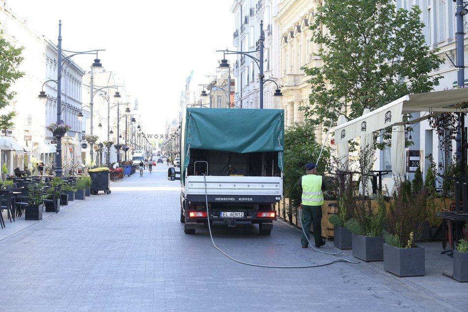 Łódź dba o zieleń