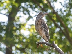 Nowe maleństwa w Orientarium Zoo Łódź. Zobacz, jak radzą sobie w nowych warunkach