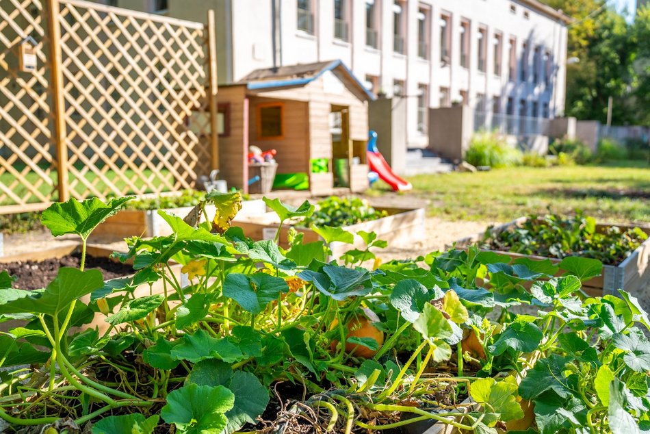 Ogród przy Przedszkolu Miejskim nr 22